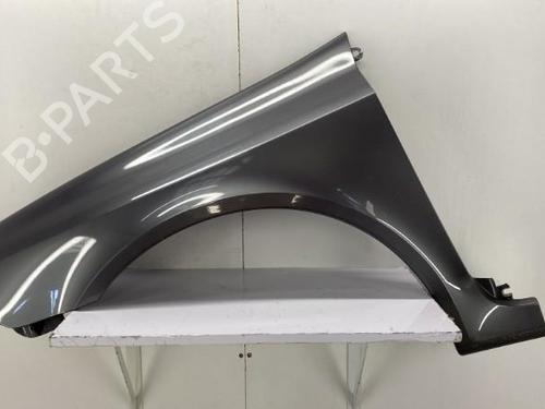 Forkjerm venstre Forkjerm venstre RENAULT LAGUNA II (BG0/1_) 2.0 16V (BG00, BG0K, BG0P, BG0W) (135 hp) 22851191 22851191