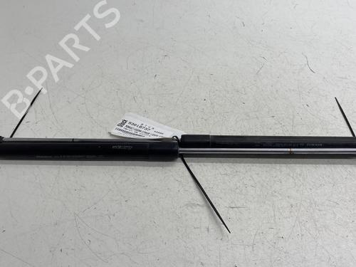 Used Tailgate lift support RENAULT LAGUNA Coupe (DT0/1) 2.0 dCi (DT01, DT08, DT09, DT0K, DT12, DT1C, DT1D, DT1M,... (150 hp) 29375519