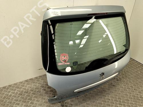 Tailgate PEUGEOT 206 Hatchback (2A/C) 2.0 HDI 90 | BP22850065C6 