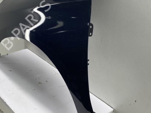 Left front fenders CITROËN C4 II (NC_) 1.6 BlueHDi 120 | BP29139354C41 