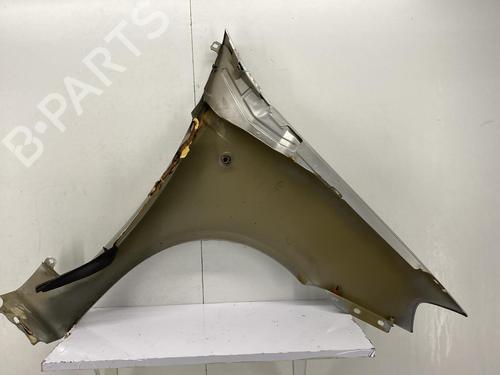 Left front fenders FIAT PUNTO (188_) 1.3 JTD 16V | BP22849740C41 