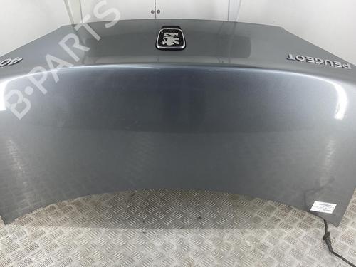 Tailgate PEUGEOT 406 Coupe (8C) 2.2 | BP22851714C6 