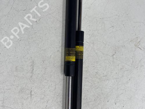 Used Tailgate lift support TOYOTA VERSO S (_P12_) 1.4 D4-D (NLP121_, NLP121R) (90 hp) 29968936