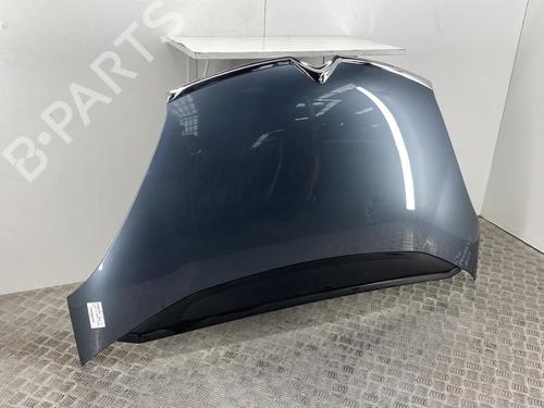 Hood CITROËN C4 Picasso I MPV (UD_) 1.6 HDi 110 | BP22857644C1 