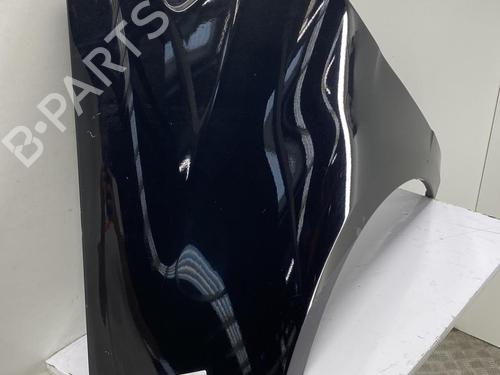 Left front fenders MERCEDES-BENZ A-CLASS (W169) A 180 CDI (169.007, 169.307) | BP22851675C41 