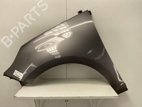 Used Left front fenders RENAULT SCÉNIC III (JZ0/1_) 1.5 dCi (110 hp) 22850113