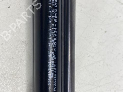 Gassdemper Bakluke RENAULT MODUS / GRAND MODUS (F/JP0_) 1.5 dCi 75 | BP29968985C138