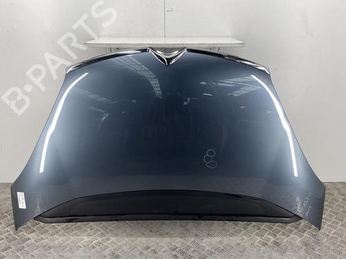 Hood CITROËN C4 Picasso I MPV (UD_) 1.6 HDi 110 | BP22857644C1 