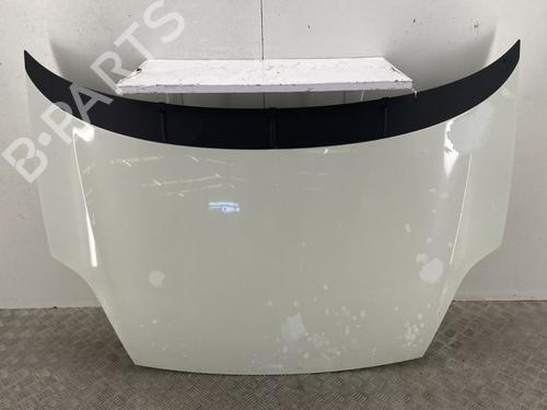 Hood FIAT PUNTO EVO (199_) 1.3 D Multijet (199AXC1A, 199BXC1A, 199AXT1A, 199BXT1A) 51701140
