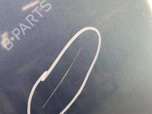 Used Hood Hood RENAULT CLIO III Grandtour (KR0/1_) 1.5 dCi (KR0G) (68 hp) 22857818 22857818