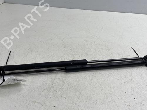 Used Tailgate lift support MERCEDES-BENZ A-CLASS (W169) A 160 CDI (169.006, 169.306) (82 hp) 27873958