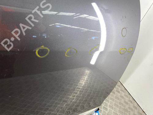 Used Right rear door Right rear door RENAULT GRAND SCÉNIC III (JZ0/1_) [2009-2016] 36015307 36015307