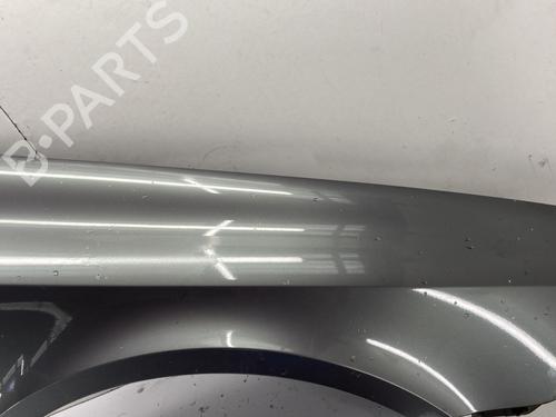 Right front fenders RENAULT LAGUNA II (BG0/1_) 1.9 dCi (BG1A, BG1W, BG0G) | BP29845282C42 