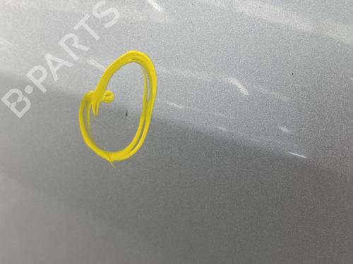 Left front door RENAULT CLIO III (BR0/1, CR0/1) 1.5 dCi (C/BR0G, C/BR1G) | BP29299256C2 