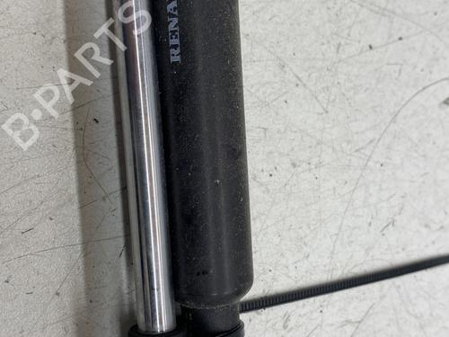 Tailgate lift support RENAULT LAGUNA Coupe (DT0/1) 2.0 dCi (DT01, DT08, DT09, DT0K, DT12, DT1C, DT1D, DT1M,... | BP29375519C138 