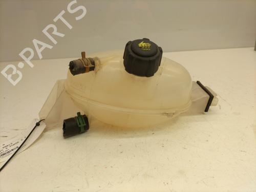 Used Expansion tank RENAULT TRAFIC II Bus (JL) 2.0 dCi 90 (JL00, JL01, JL0H, JL0M, JL0P, JL0S) (90 hp) 22861701
