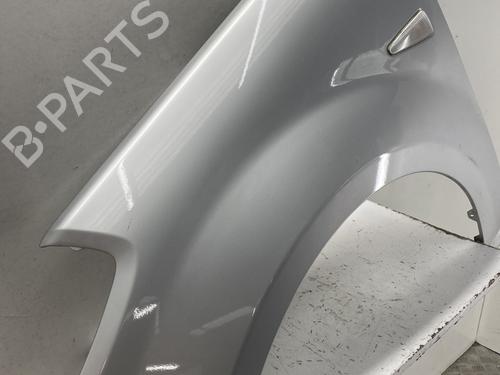 Left front fenders DACIA SANDERO 1.4 MPI LPG | BP32281652C41