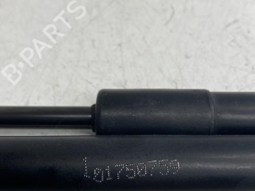 tailgate-lift-support-chevrolet-captiva-c100-c140-2006-26274176 main image