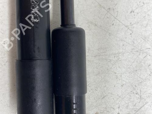 tailgate-lift-support-renault-twingo-ii-cn0_-2007-30848465 main image