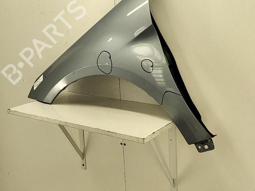 Left front fenders MERCEDES-BENZ B-CLASS Sports Tourer (W245) B 200 CDI (245.208) | BP22850202C41 