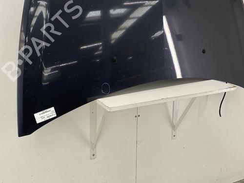 Hood RENAULT CLIO III (BR0/1, CR0/1) 1.5 dCi (BR17, CR17) | BP22856593C1 