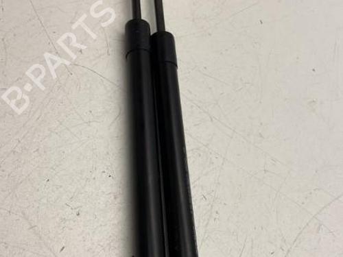 Tailgate lift support DACIA SANDERO II 1.0 TCe 100 (B8ML) 904529943R