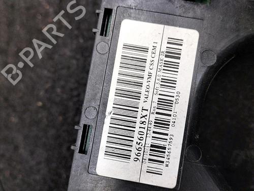 Ratstangsstang CITROËN C4 Picasso I MPV (UD_) 1.6 HDi 110 (112 hp) 22857808