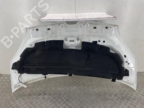 Used Hood Hood RENAULT KANGOO Express (FW0/1_) 1.5 dCi 95 (FW16) (95 hp) 40513066 40513066
