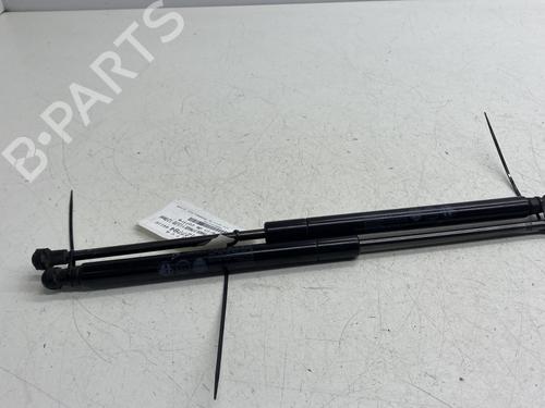 Used Tailgate lift support FIAT PANDA (312_, 319_) 1.3 D Multijet (312PXL1A) (75 hp) 30490834