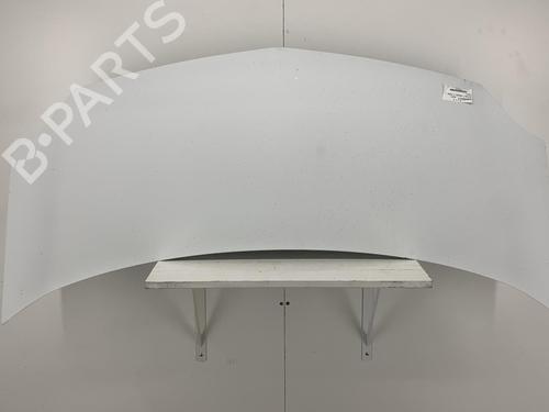 Hood RENAULT KANGOO Express (FW0/1_) 1.5 dCi 85 (FW0K, FW0L, FW0B) | BP22852581C1 