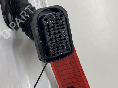 Left front door RENAULT CLIO III Grandtour (KR0/1_) 1.5 dCi | BP31584301C2