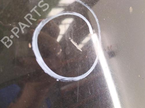 Hood RENAULT SCÉNIC II (JM0/1_) 1.6 (JM0C, JM0J, JM1B) | BP22856495C1 