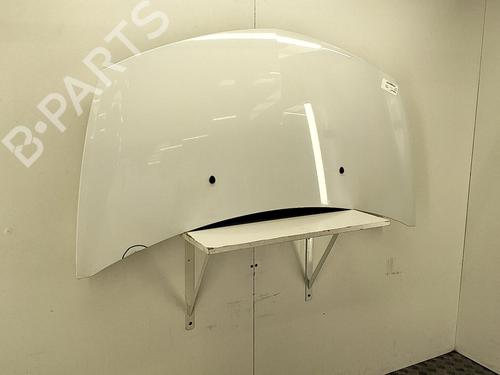 Hood RENAULT CLIO III (BR0/1, CR0/1) 1.5 dCi (C/BR0G, C/BR1G) | BP22850134C1 