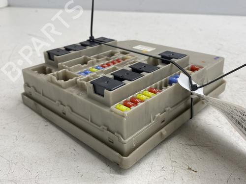 Electronic module RENAULT CLIO III (BR0/1, CR0/1) 1.5 dCi | BP29529005M83 