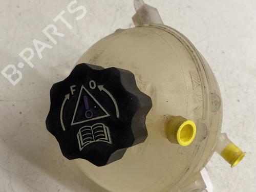 Expansion tank PEUGEOT 3008 I MPV (0U_) 1.6 HDi | BP29590252C120 