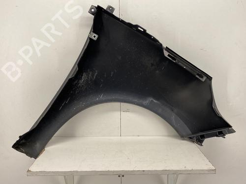 Left front fenders RENAULT SCÉNIC III (JZ0/1_) 1.5 dCi | BP22851791C41 