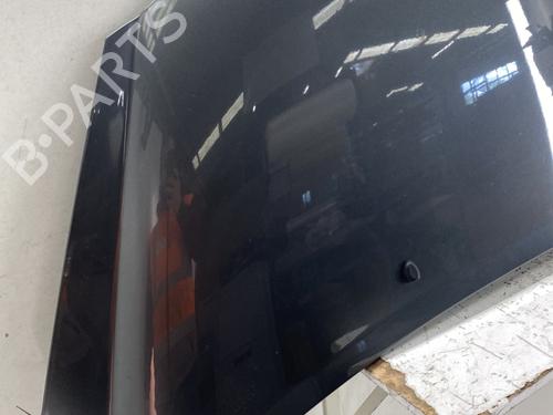 Used Hood Hood PEUGEOT 207 (WA_, WC_) [2006-2015] 34149296 34149296