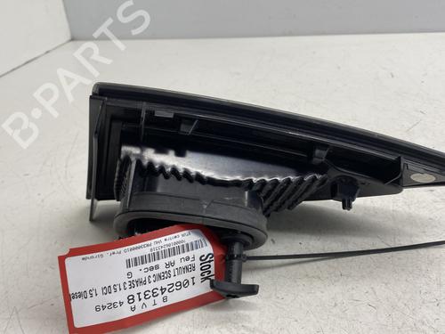 Left tailgate light RENAULT SCÉNIC III (JZ0/1_) 1.5 dCi | BP29375306C79 