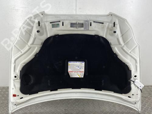 Used Hood Hood LANCIA DELTA III (844_) 1.4 (844.AXA1A) (120 hp) 33655500 33655500