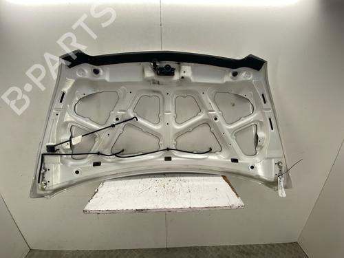 Used Hood Hood 38763895 38763895
