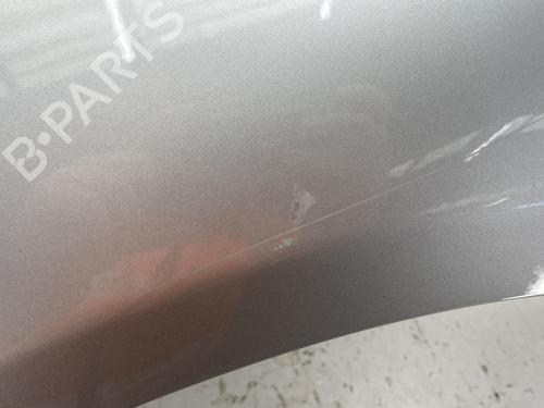 Left front fenders DACIA SANDERO 1.4 MPI LPG | BP32281652C41