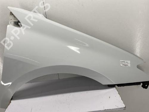 Right front fenders RENAULT LAGUNA III Grandtour (KT0/1) 2.0 dCi (KT01, KT08, KT09, KT0K, KT12, KT1D, KT1W) | BP22849427C42 