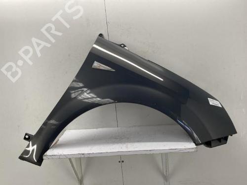 Left front fenders RENAULT SCÉNIC II (JM0/1_) 1.6 16V (JM1R) | BP22863127C41 