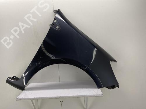 Right front fenders RENAULT CLIO III (BR0/1, CR0/1) 1.4 16V | BP22852676C42 