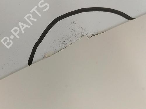 Hood RENAULT CLIO III (BR0/1, CR0/1) 1.5 dCi (C/BR0G, C/BR1G) | BP22850134C1 