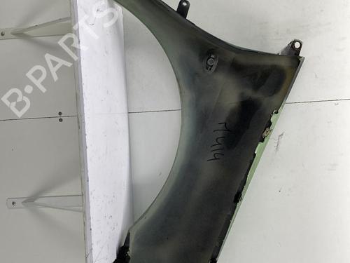 Left front fenders PEUGEOT 307 (3A/C) 2.0 HDi 90 | BP22858942C41 