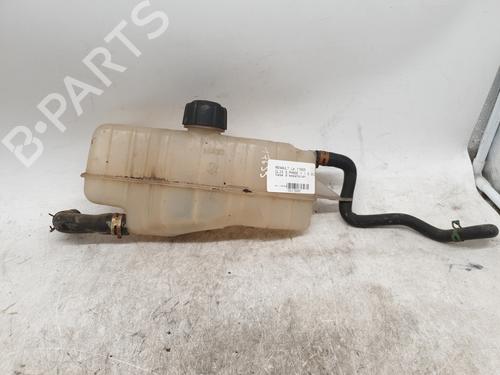 Used Expansion tank RENAULT CLIO III (BR0/1, CR0/1) 1.5 dCi (BR17, CR17) (86 hp) 28036325