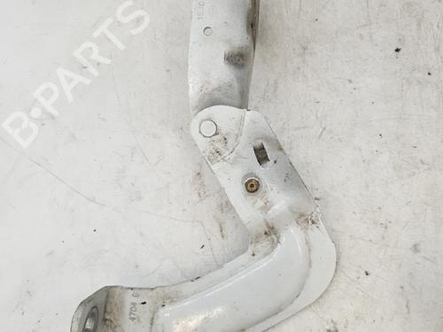 Used Hinge/Door check strap RENAULT KANGOO Express (FC0/1_) 1.5 dCi (FC08, FC09) (82 hp) 24421033