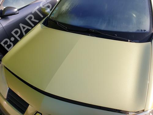 Capot Capot RENAULT MEGANE II (BM0/1_, CM0/1_) 1.6 16V (BM0C, CM0C) (113 hp) 25130315 25130315