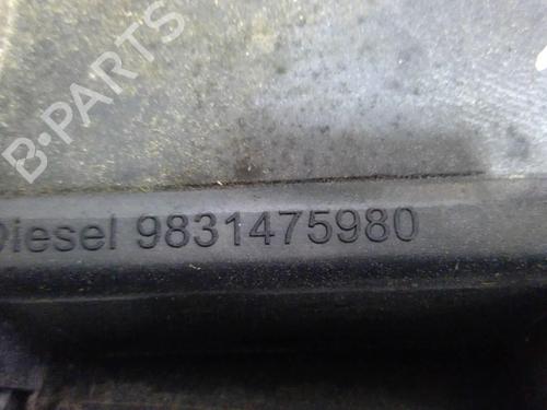 Fuel flap PEUGEOT 2008 II (UD_, US_, UY_, UJ_, UR_, UC_) 1.5 BlueHDI 110 (UDYHSK) | BP22876311C131 